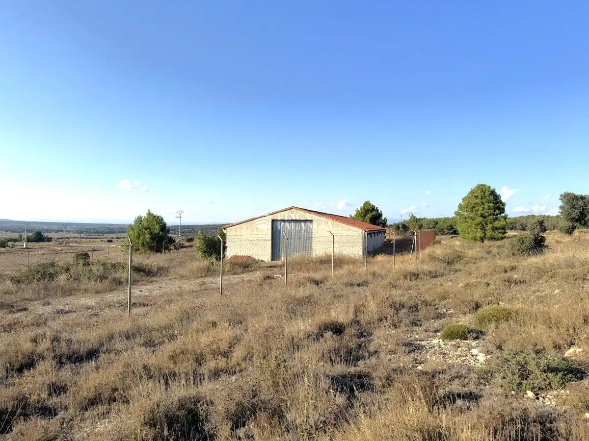 Industrial buildings for rent in Barracas