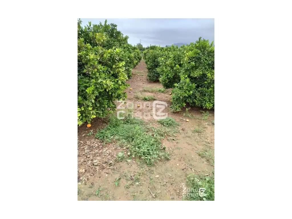 Country house for sale in Algemesí, imagen 6