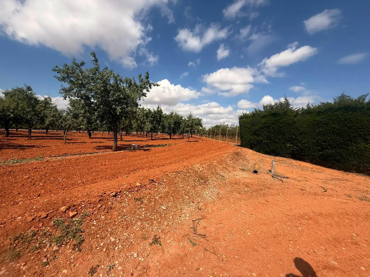 Finca rústica en venda en Cartagena amb Aire condicionat, Terrassa i Traster