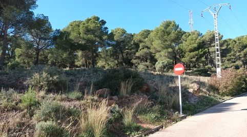 Venta de 2 Fincas Rústicas en Polígono Poligono 36 Nº 35 Serra ValenciaValènci, immagine 2