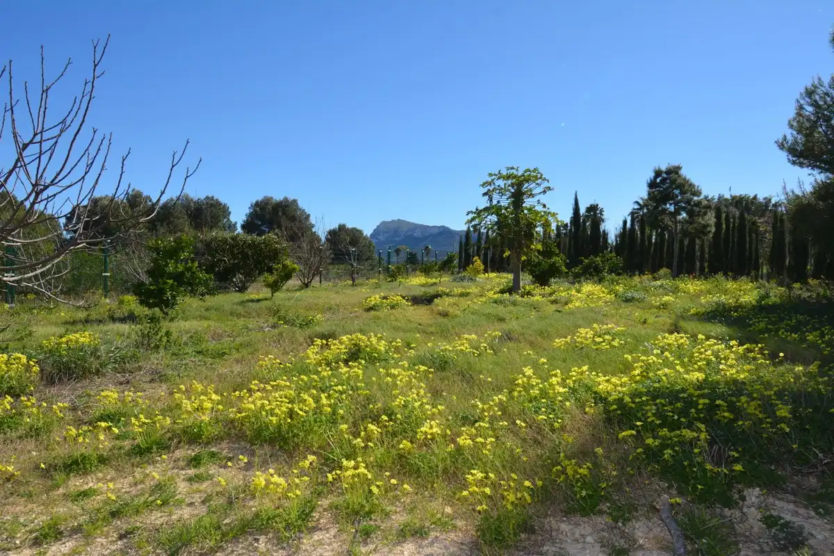 Chalet con piscina en venta en La Xara - La Sella, imagen 10