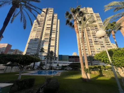 Vista exterior de Apartament en venda en Benidorm amb Aire condicionat, Calefacció i Jardí privat