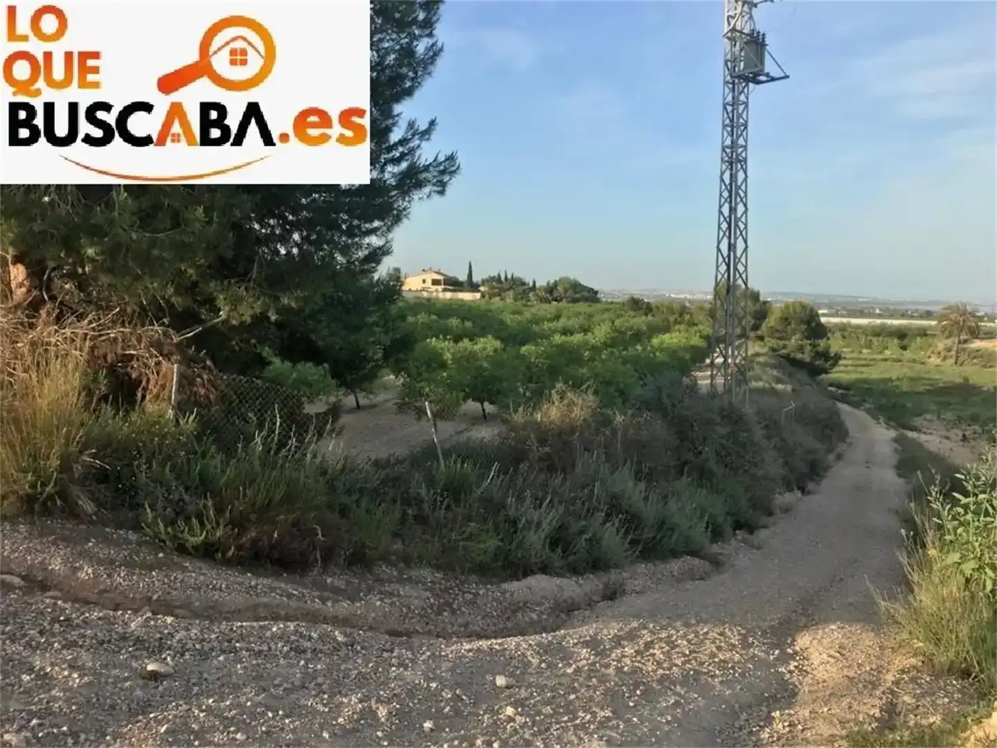 Finca rústica en venda en San Miguel de Salinas amb Aire condicionat i Piscina