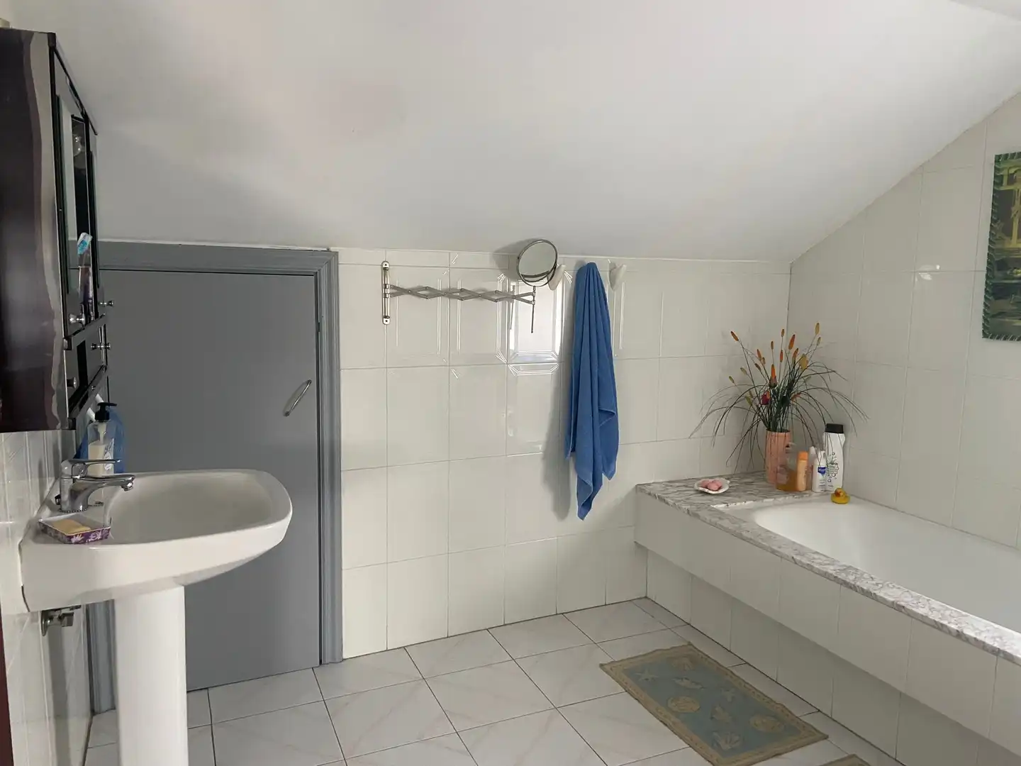 Bany de Casa o xalet en venda en Ferrol amb Jardí privat