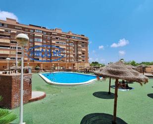 Swimming pool of Flat to rent in San Vicente del Raspeig / Sant Vicent del Raspeig  with Terrace, Balcony and Community pool