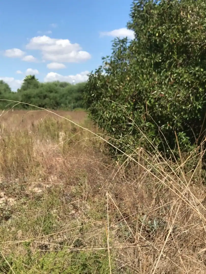 Terreno residencial en venta en La Foia - Daimés - Asprella, imagen 6
