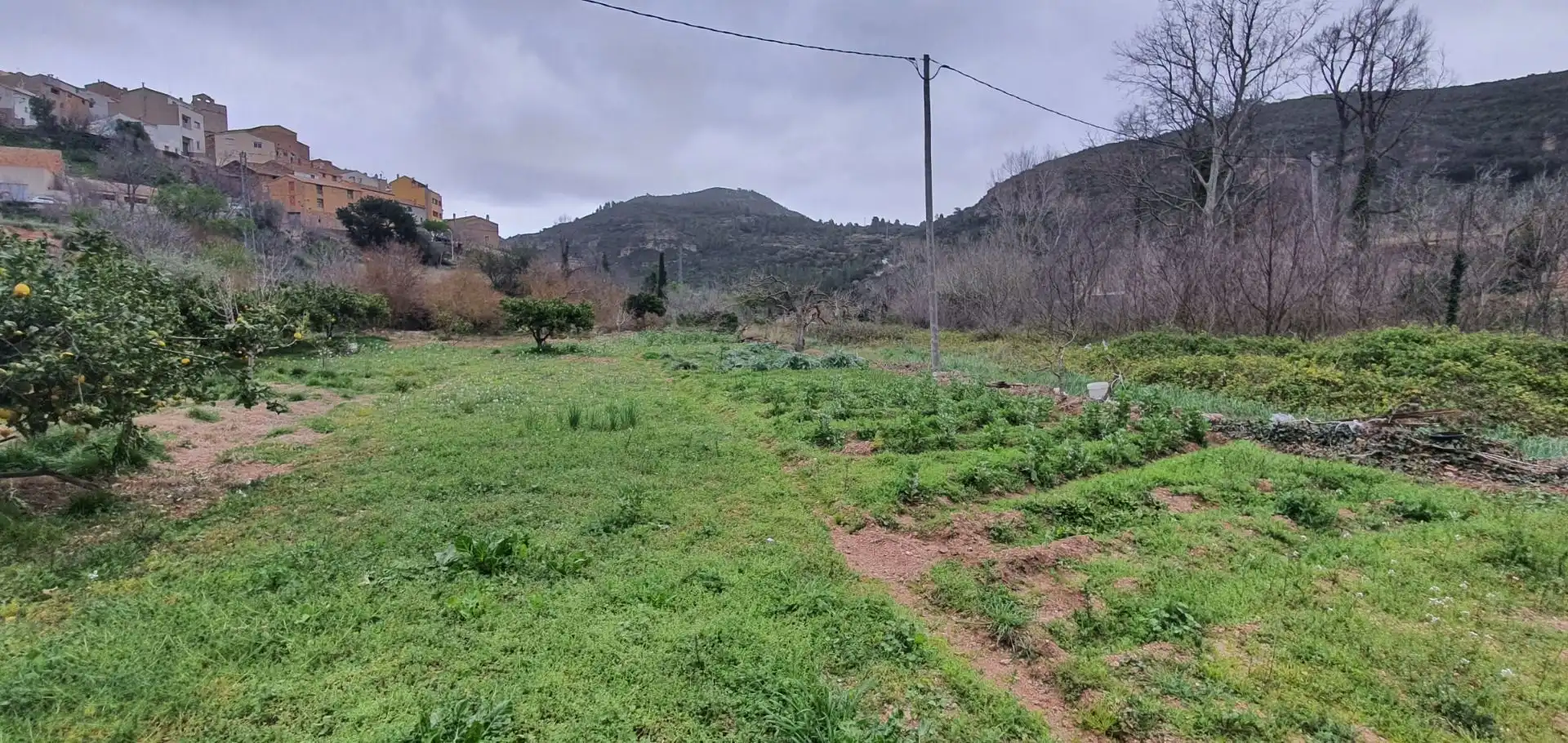 Casa o xalet en venda en Alfara de Carles