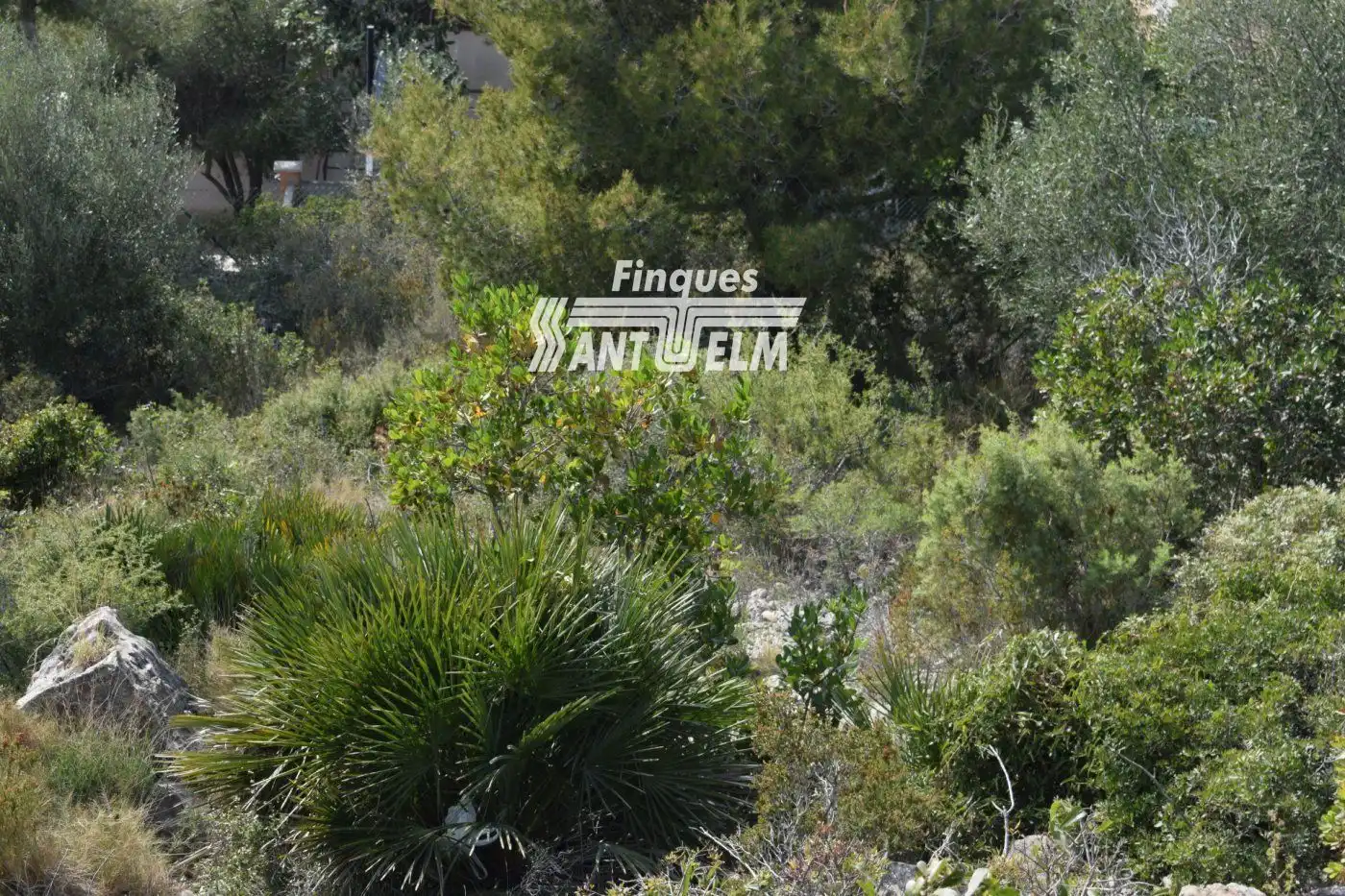 Terreny rústic en venda a SANTA MARIA DE MONTSERRAT, imagen 9