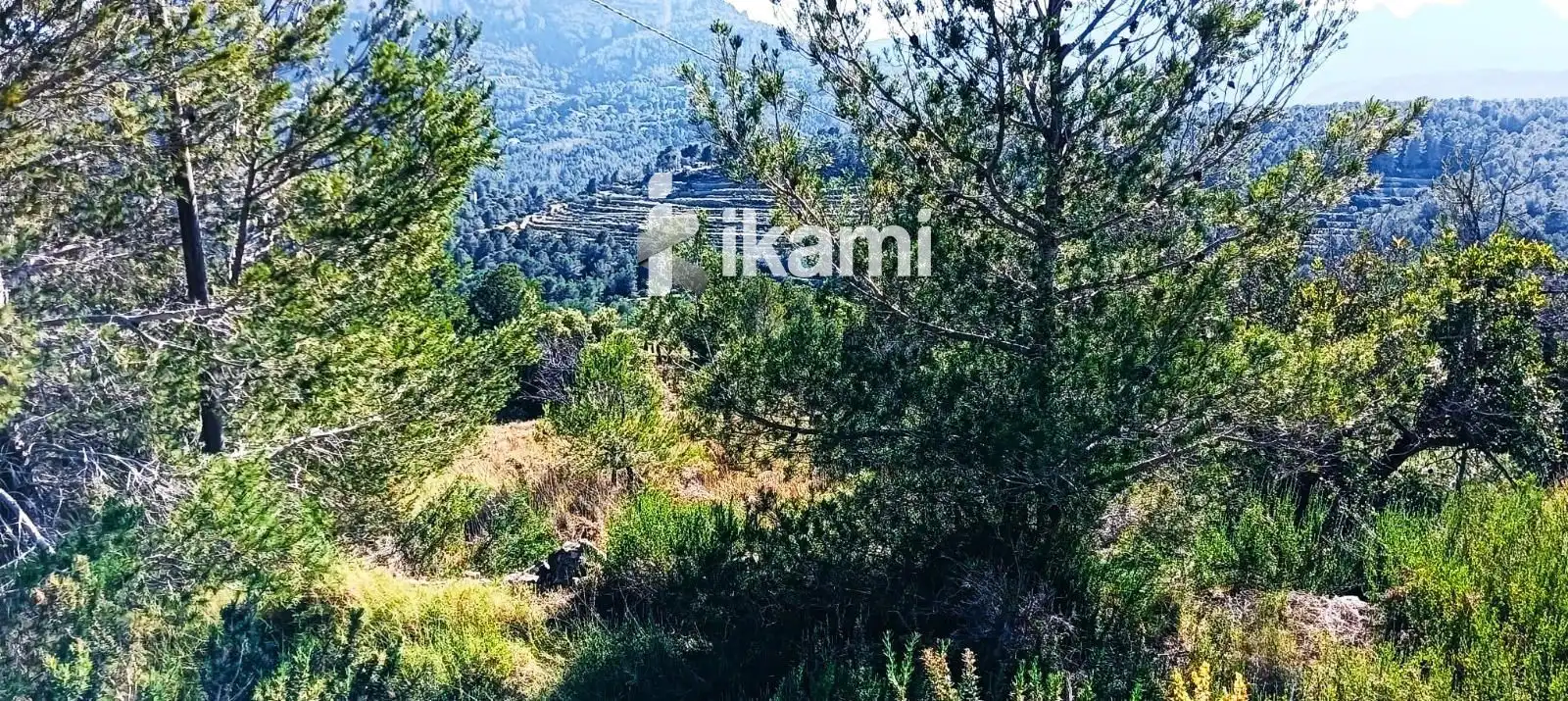 Terreny rústic en venda a Benimeit - Tabaira, imagen 5