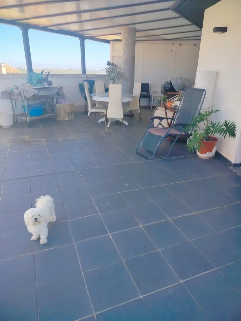 Attique avec terrasse à vendre à Camino ARQUITECTE ARTAL, imagen 2