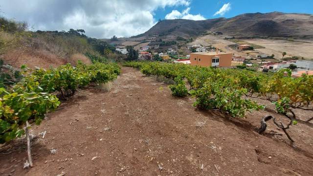 Finca rústica en Venta en Vega Lagunera