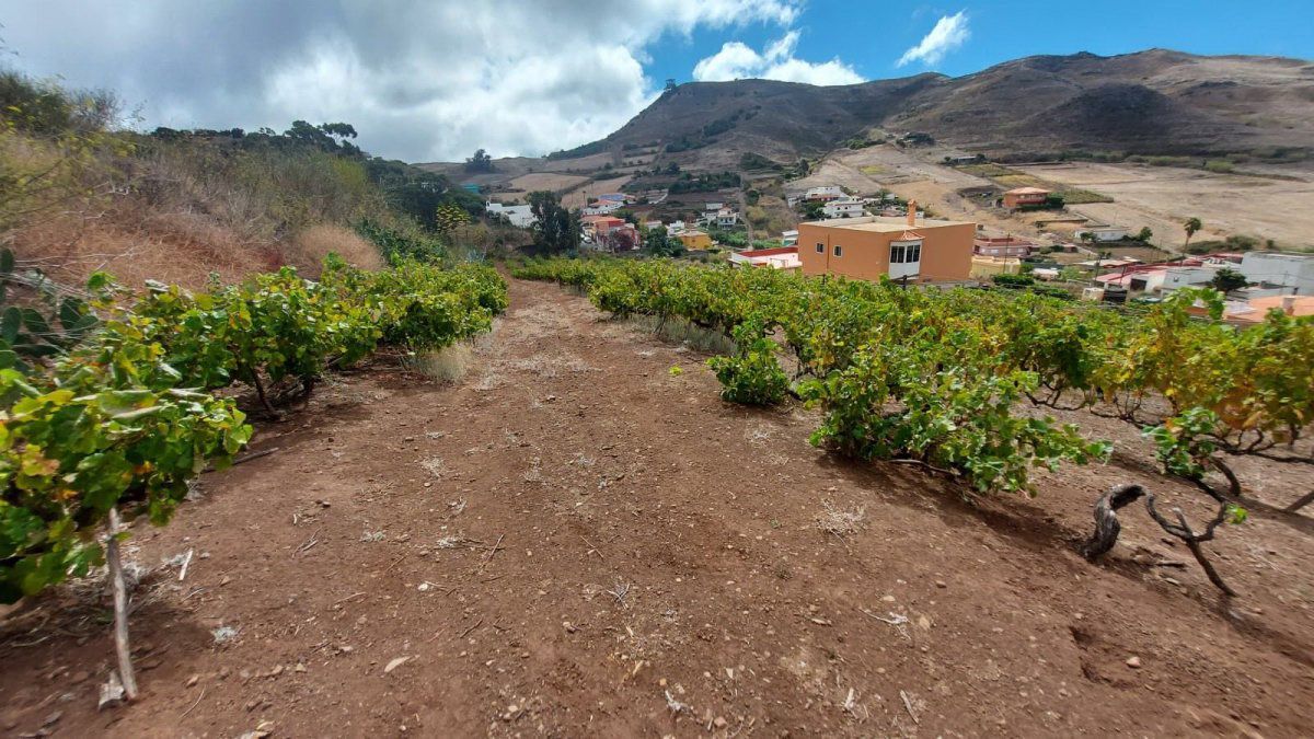Vista exterior de Finca rústica en venda en San Cristóbal de la Laguna amb Terrassa