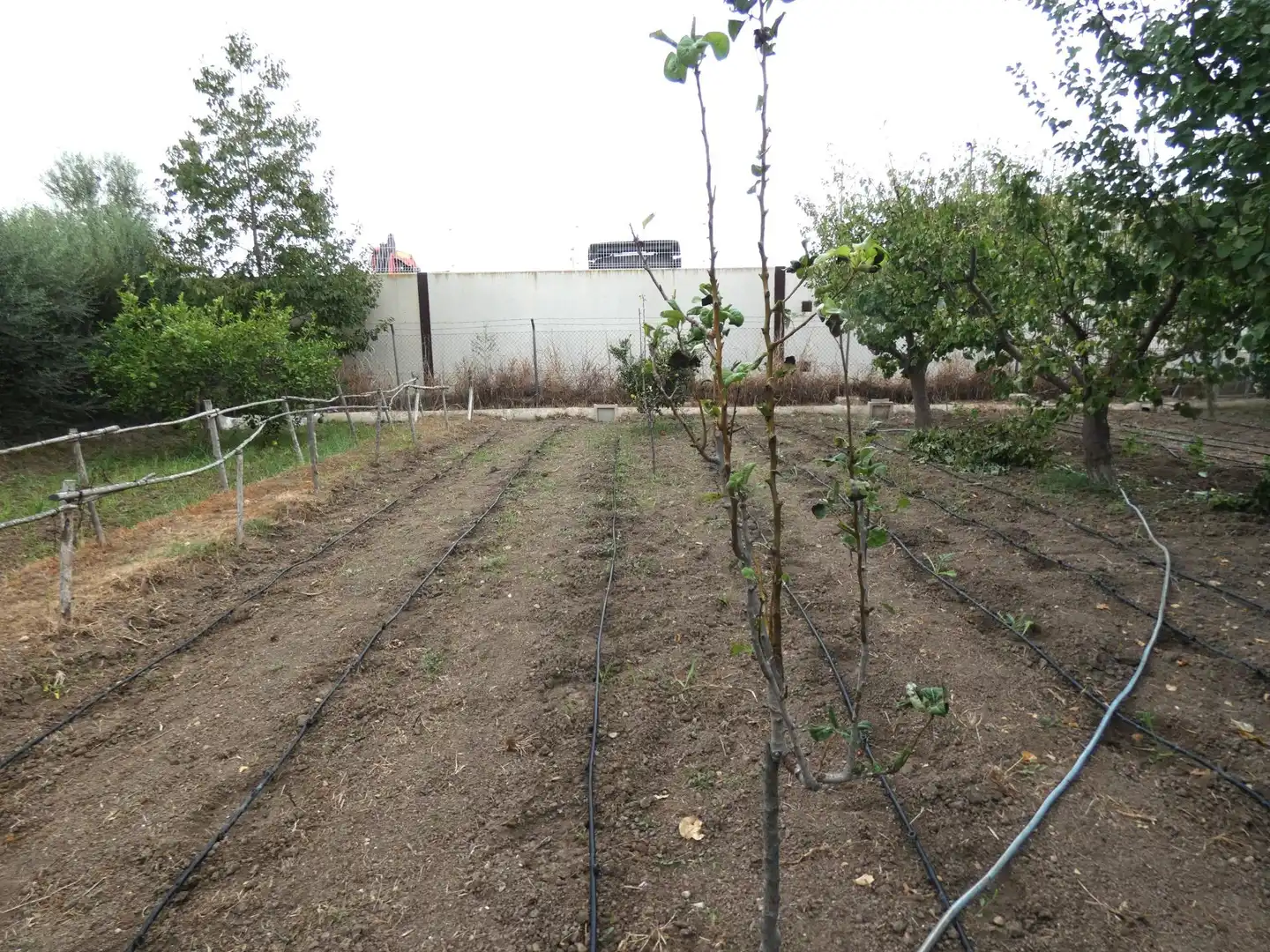 Villa mit Garten zum Verkauf in El Llano, imagen 15