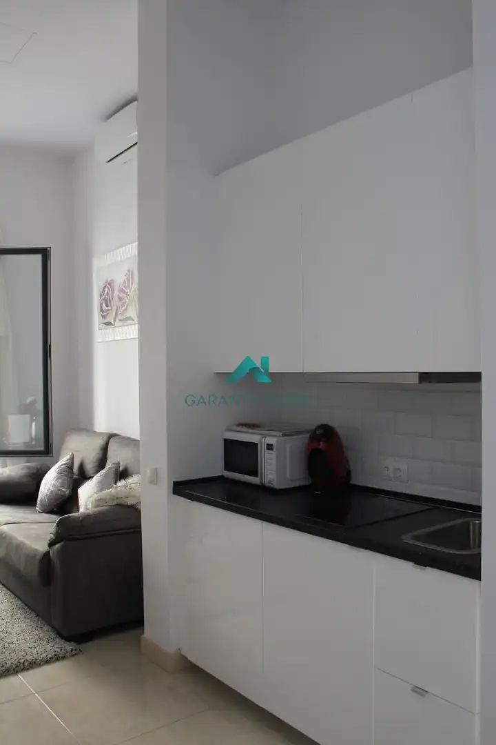 Appartement avec terrasse à louer à Casco Antiguo, imagen 23
