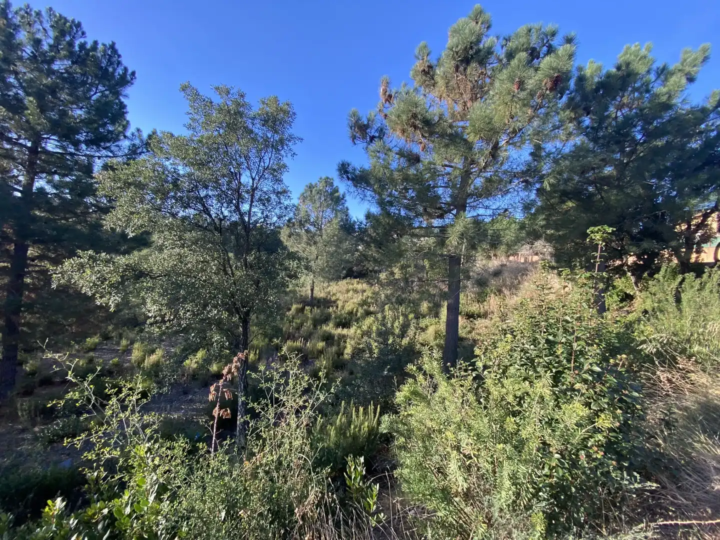 Terreno residencial en venta en Carrer Perdiu 38, imagen 20