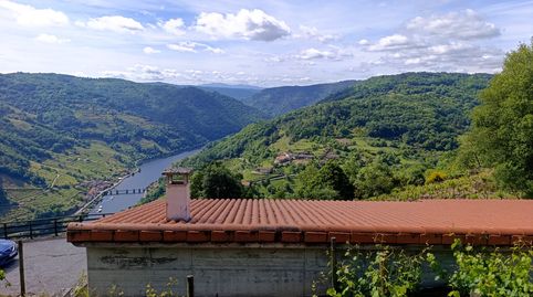Foto 4 de Finca rústica en venda a Chantada, Lugo