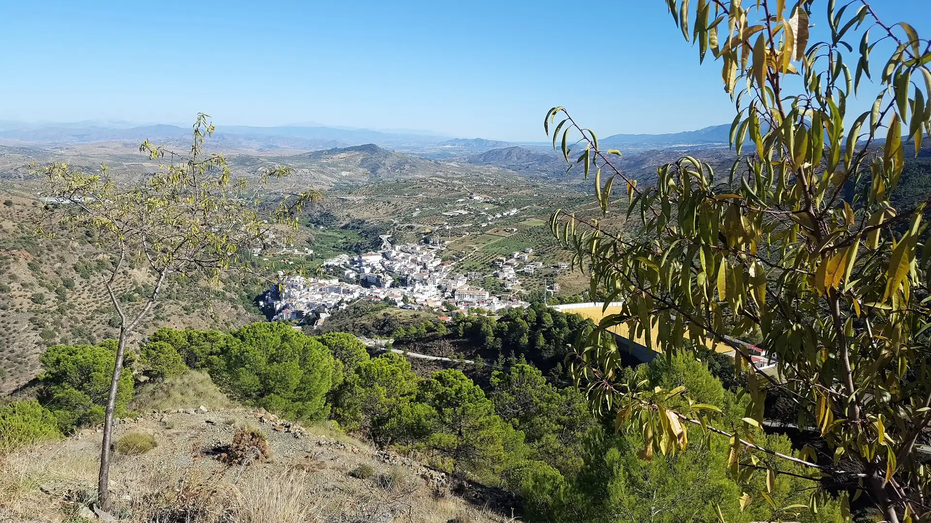 Terreni e lotti in vendita a Avenida de San Roque, imagen 13