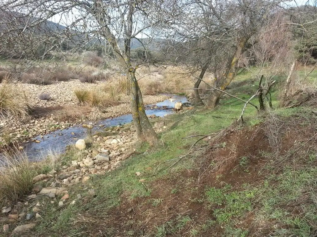 Casa rústica amb piscina en venda a Viso del Marqués, imagen 16