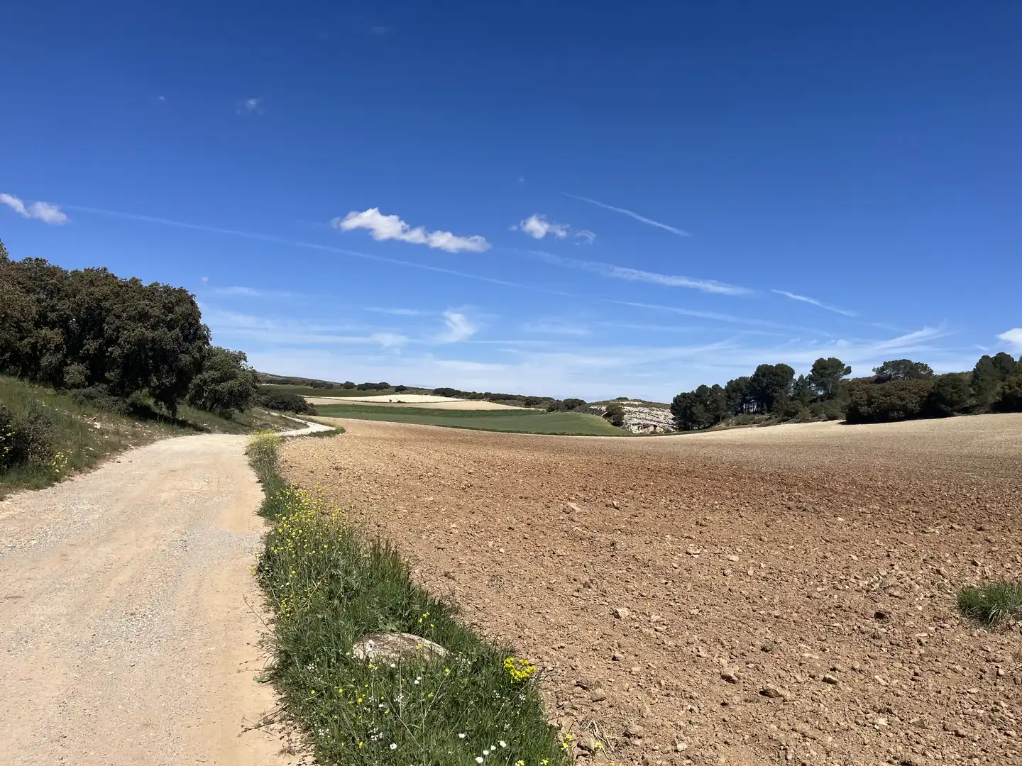 Rustikales Grundstück zum Verkauf in Avenida de Andalucía, imagen 3