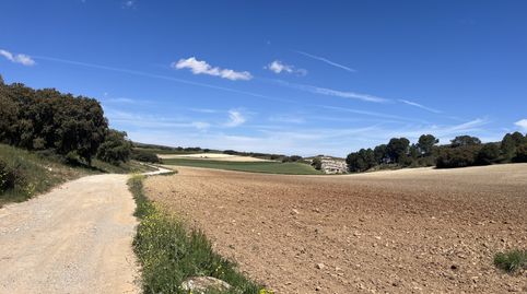 Finca en Padul, immagine 3