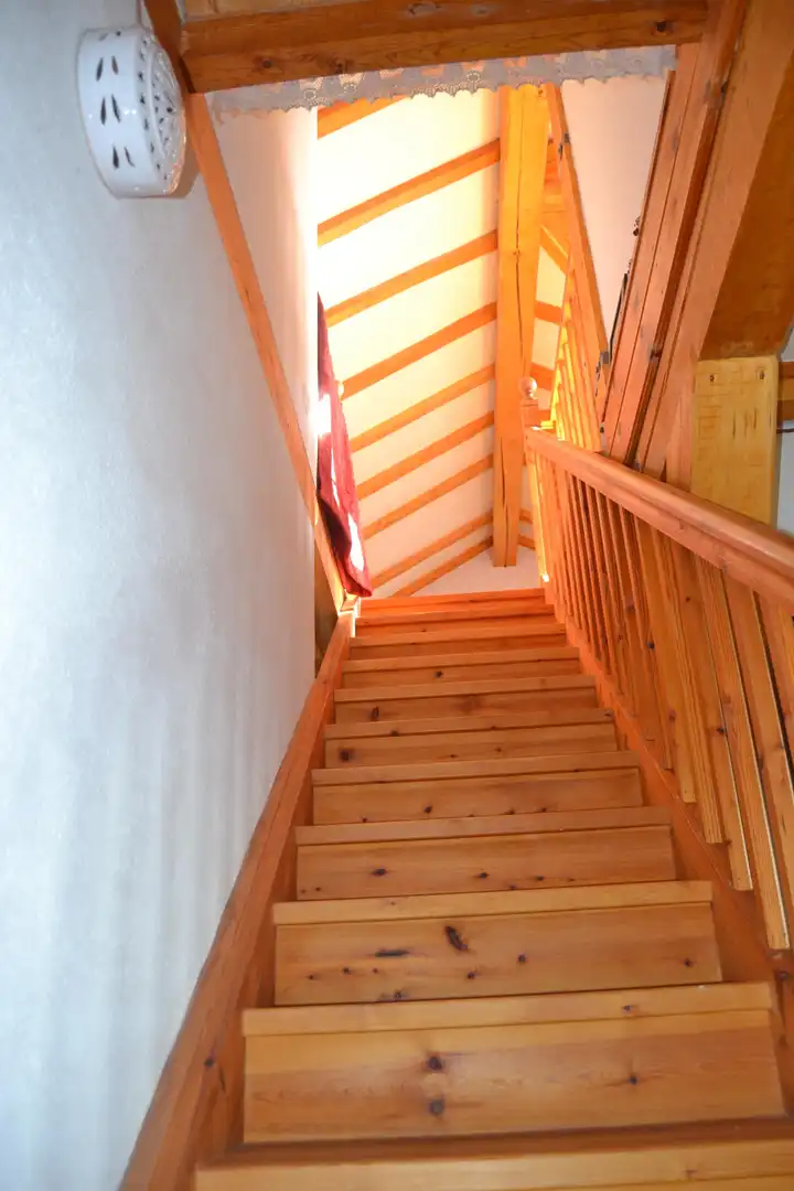 Haus oder Chalet zum Verkauf in Aisa mit Heizung und Privatgarten