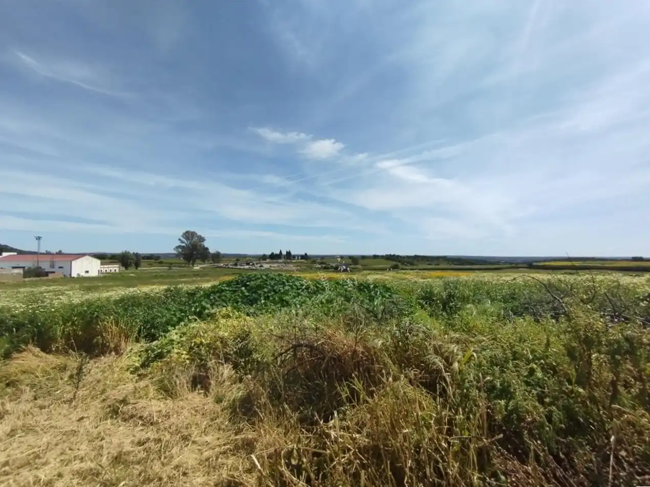 Rural land for sale in Alosno pueblo