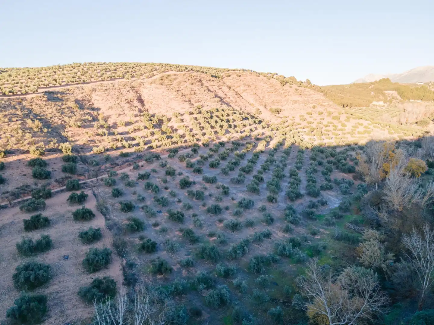 Terreno rustico in vendita a Calicasas, imagen 6
