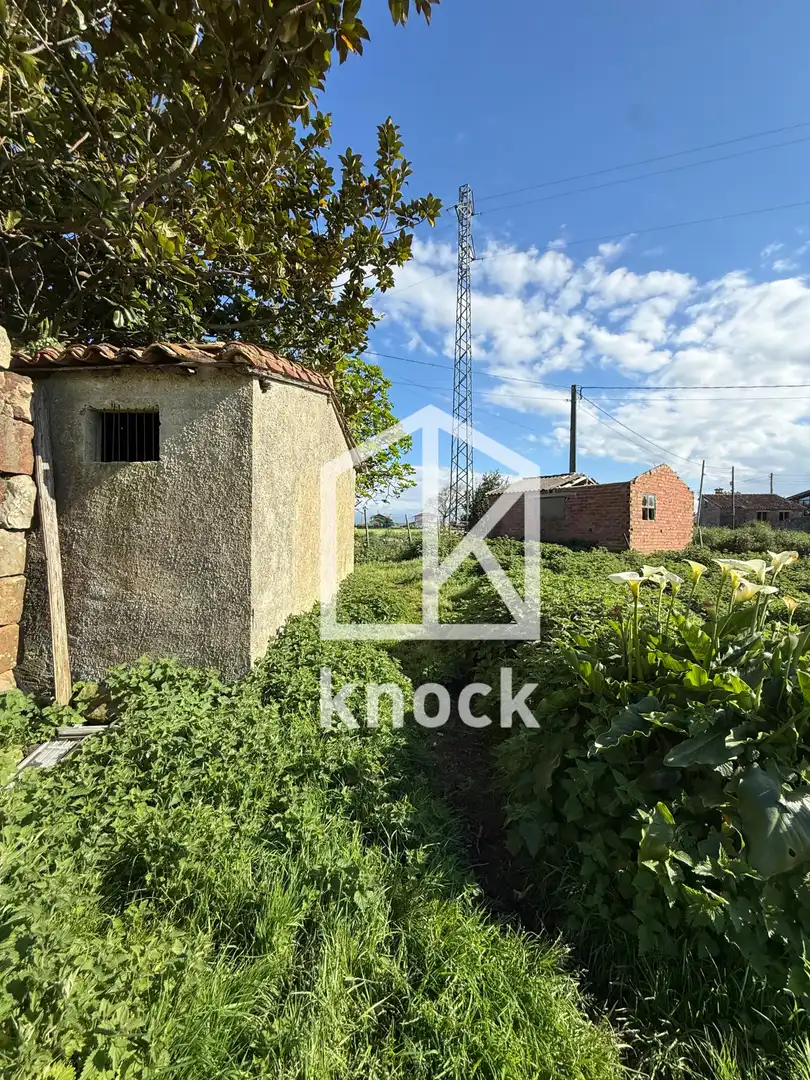Terreno rustico in vendita a Oles - La cerca, imagen 13