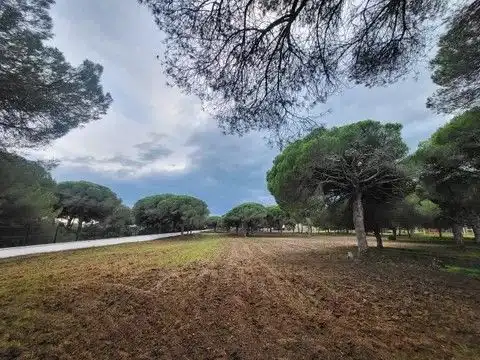 Terreni e lotti in vendita a carril del Pilahito 9, imagen 4
