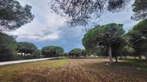 magnifica parcela proxima a playa cal del aceite frente camping , imatge 4