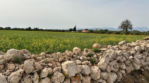 Foto 5 de Finca rústica en venda a Camí de Muntanya, Algaida, Illes Balears