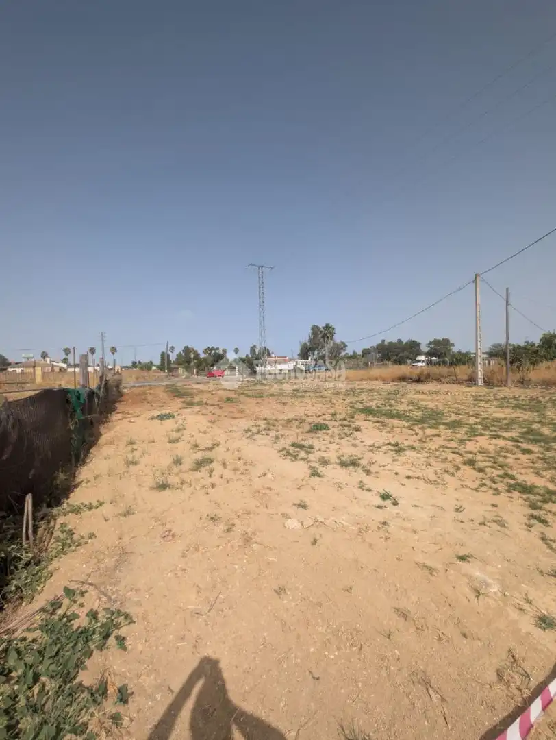 Rural land for sale in El Rocío - La Milagrosa, imagen 12
