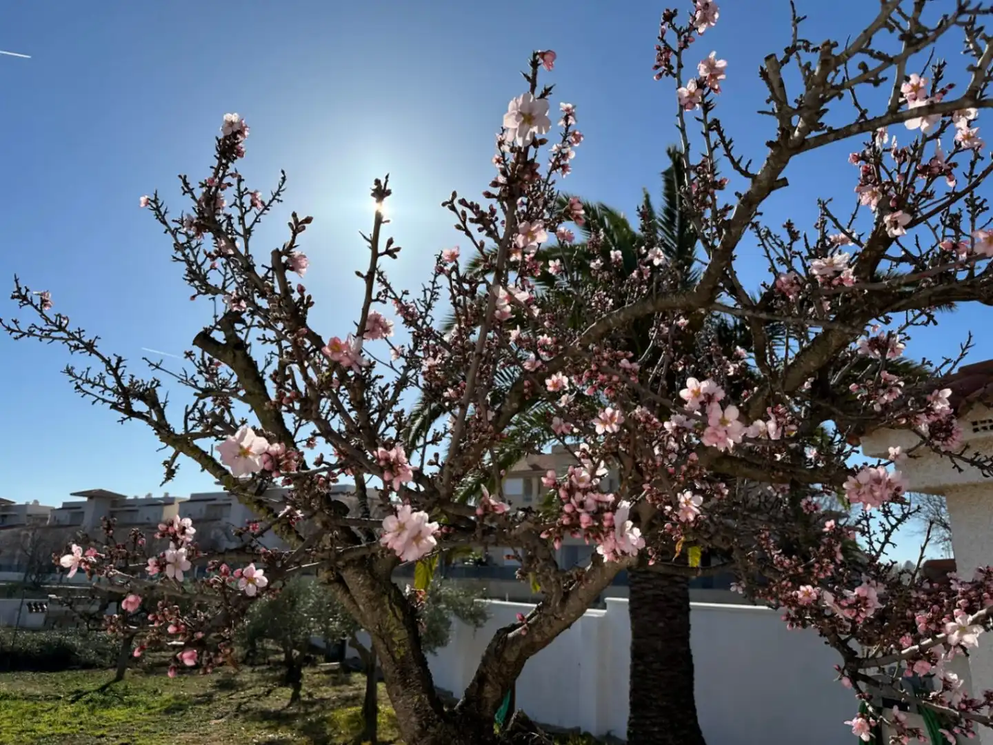 Villa mit Pool zum Verkauf in Alcossebre, imagen 7