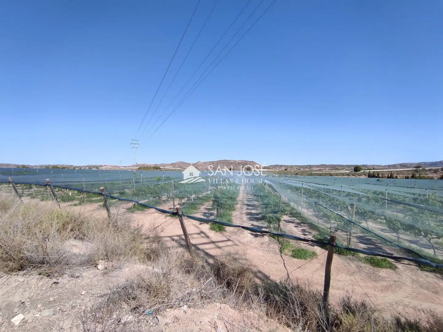 Terreno residencial en venta en Monforte del Cid, imagen 5