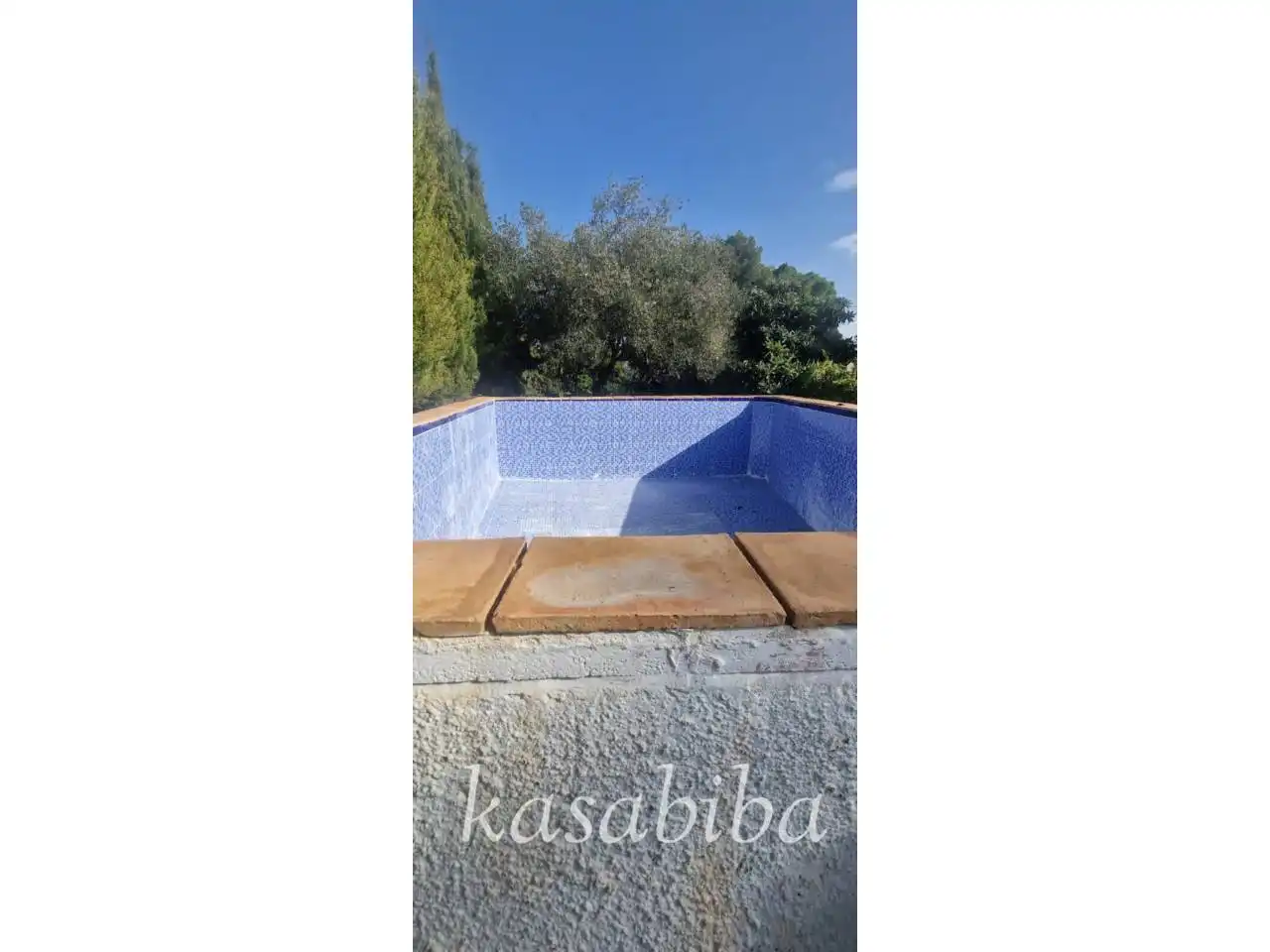 Casa amb piscina en venda a Calle urbanización los corrales, poligono, imagen 5