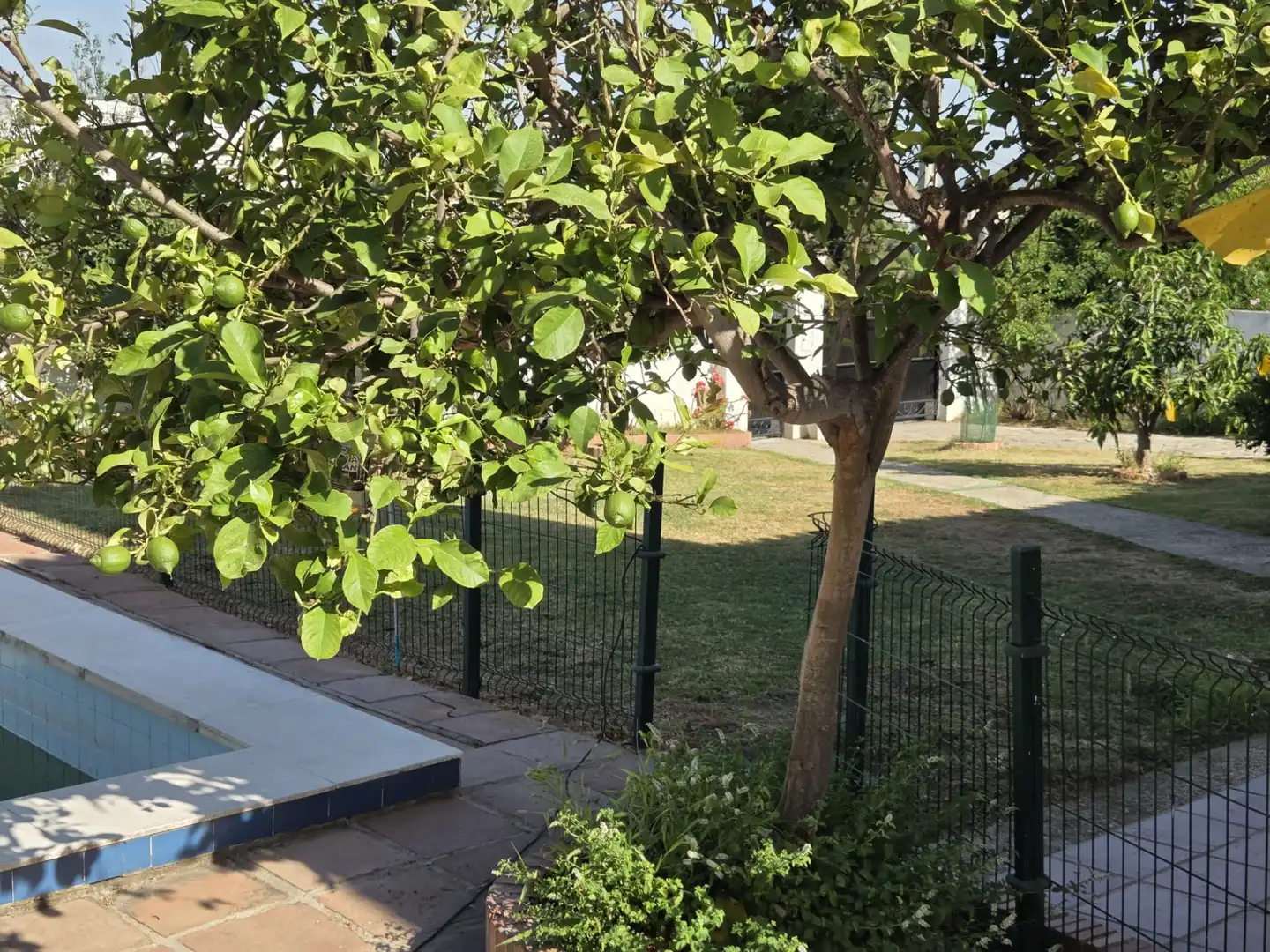 Garden of Houses for sale in Algeciras  with Swimming Pool and Furnished