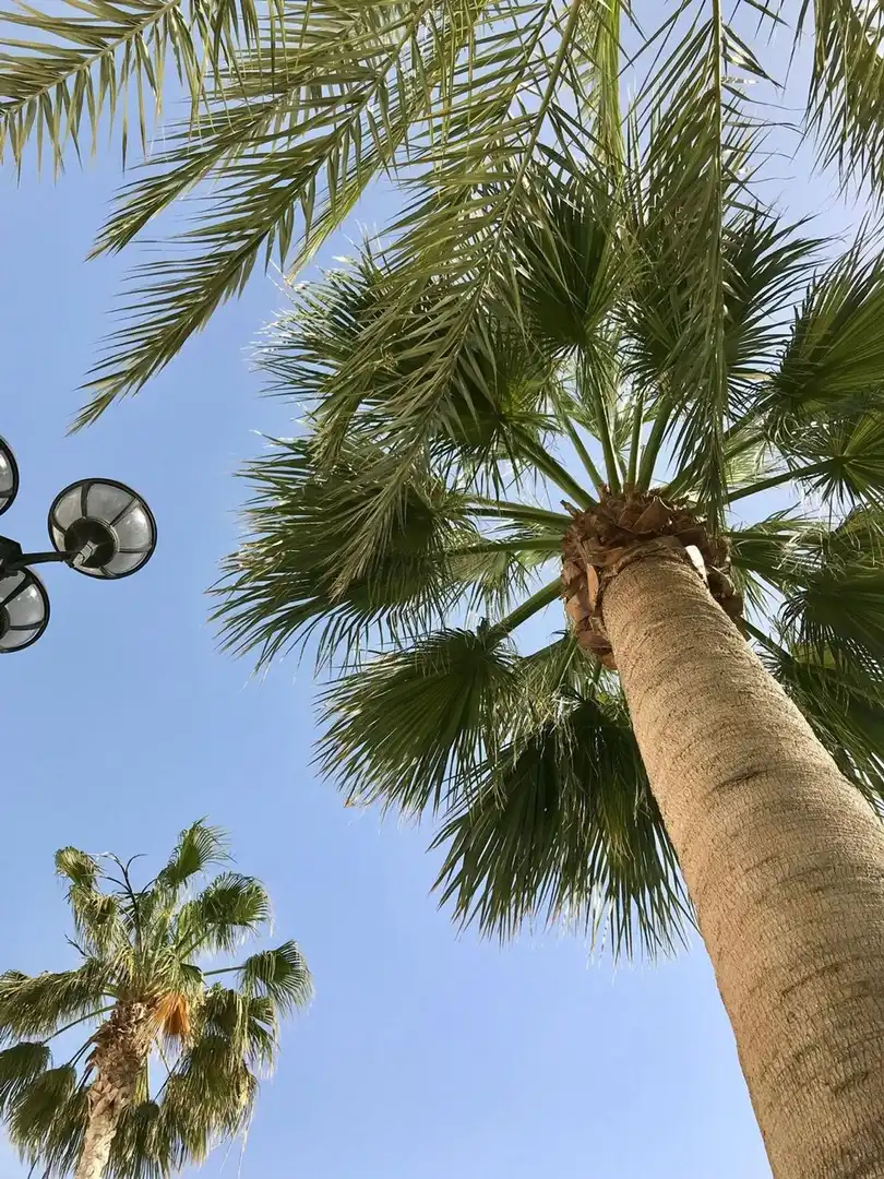 Vista exterior de Ático en venta en Mojácar con Terraza, Piscina y Amueblado