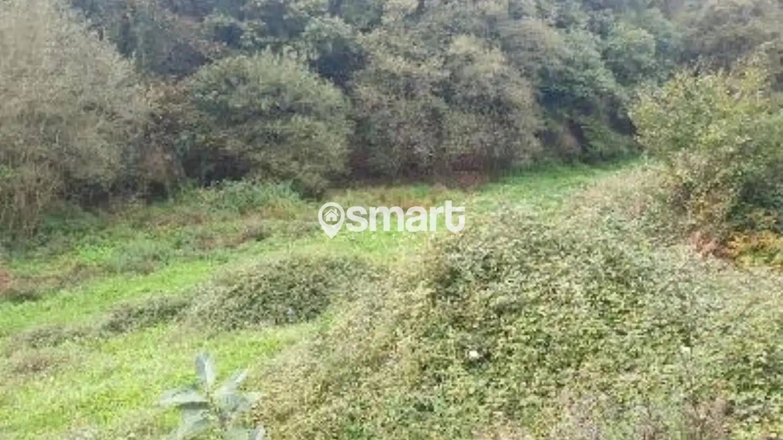 Terreno rustico in vendita a Villalegre - La Luz, imagen 13