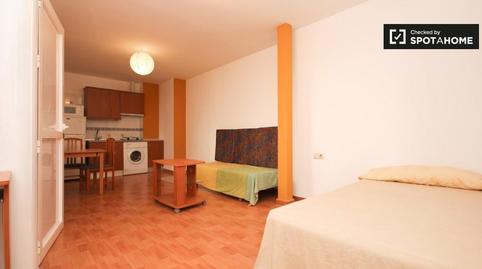 Photo 5 of Study to share in Centro - Sagrario, Granada