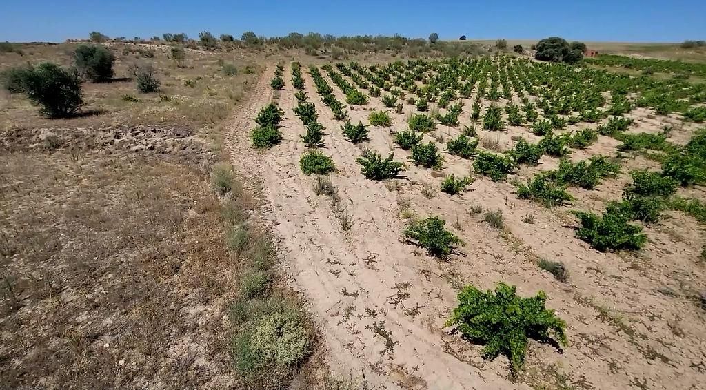 Residencial en venda a Sector 8, La Dehesa - El Pinar