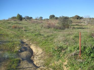 Terreno rustico in vendita a Cenicientos