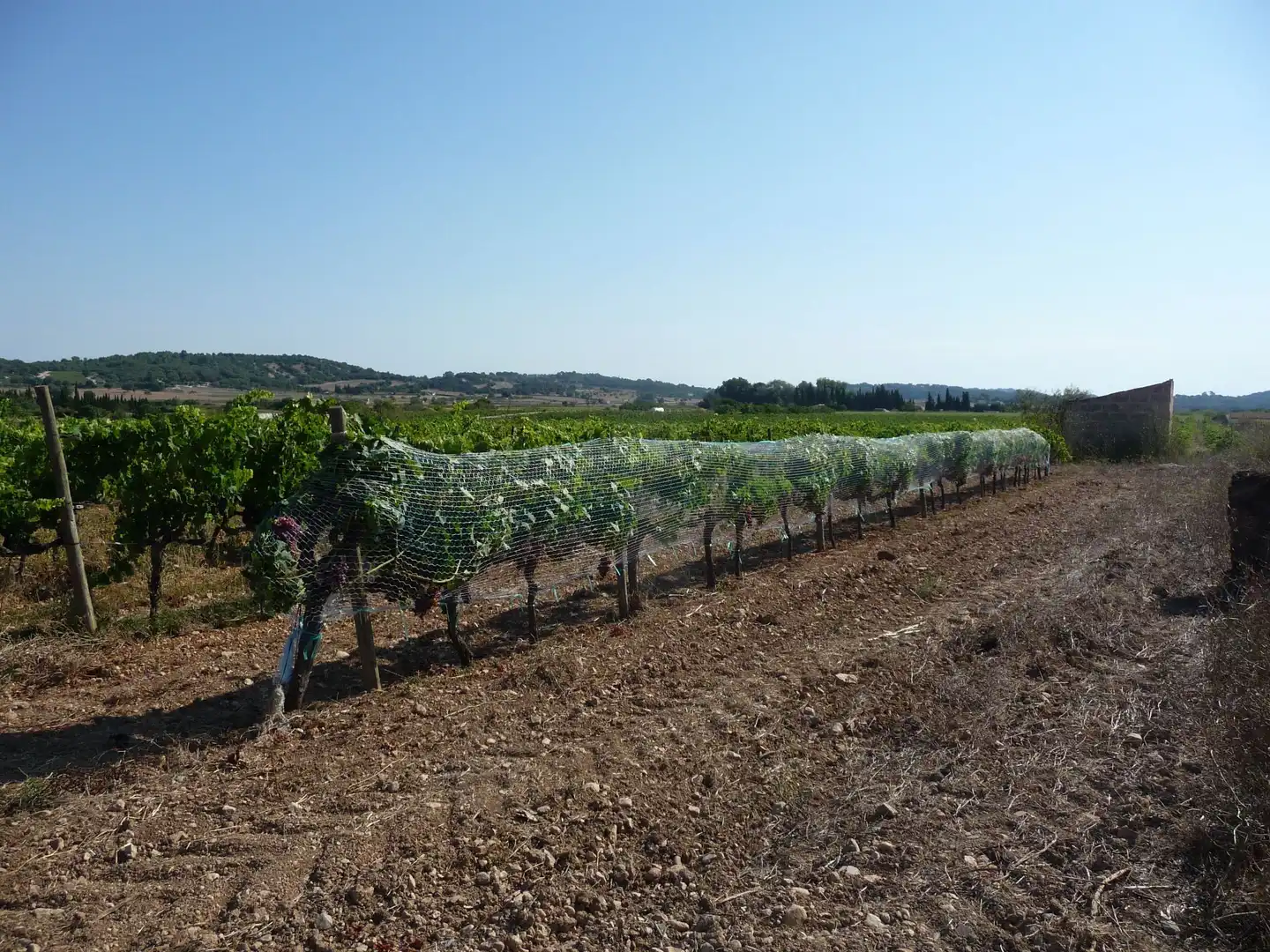 Terreni e lotti in vendita a Algaida, imagen 8