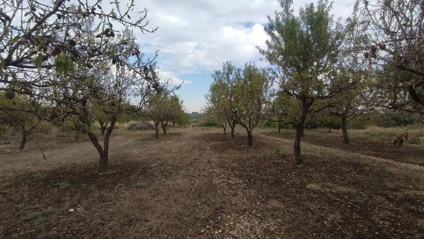 Finca rústica en venda en Valls amb Calefacció, Jardí privat i Terrassa