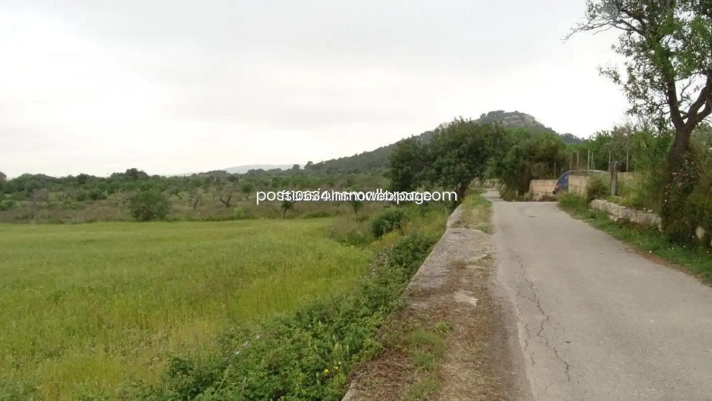 Terreno rustico in vendita a Llucmajor pueblo, imagen 3