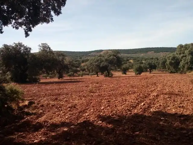 Terreny residencial en venda a Villanueva del Duque, imagen 24