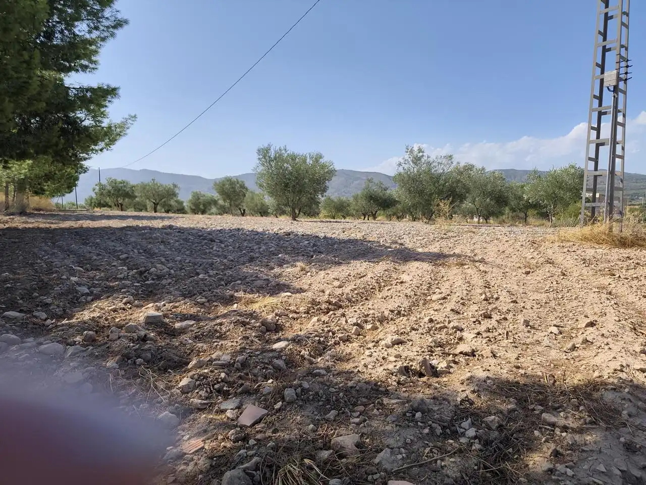 Terreno rustico in vendita a Castalla, imagen 32