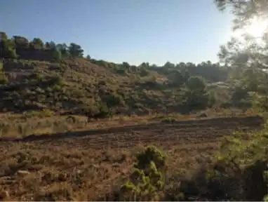 Terreny rústic en venda a Paraje Algayat, imagen 6