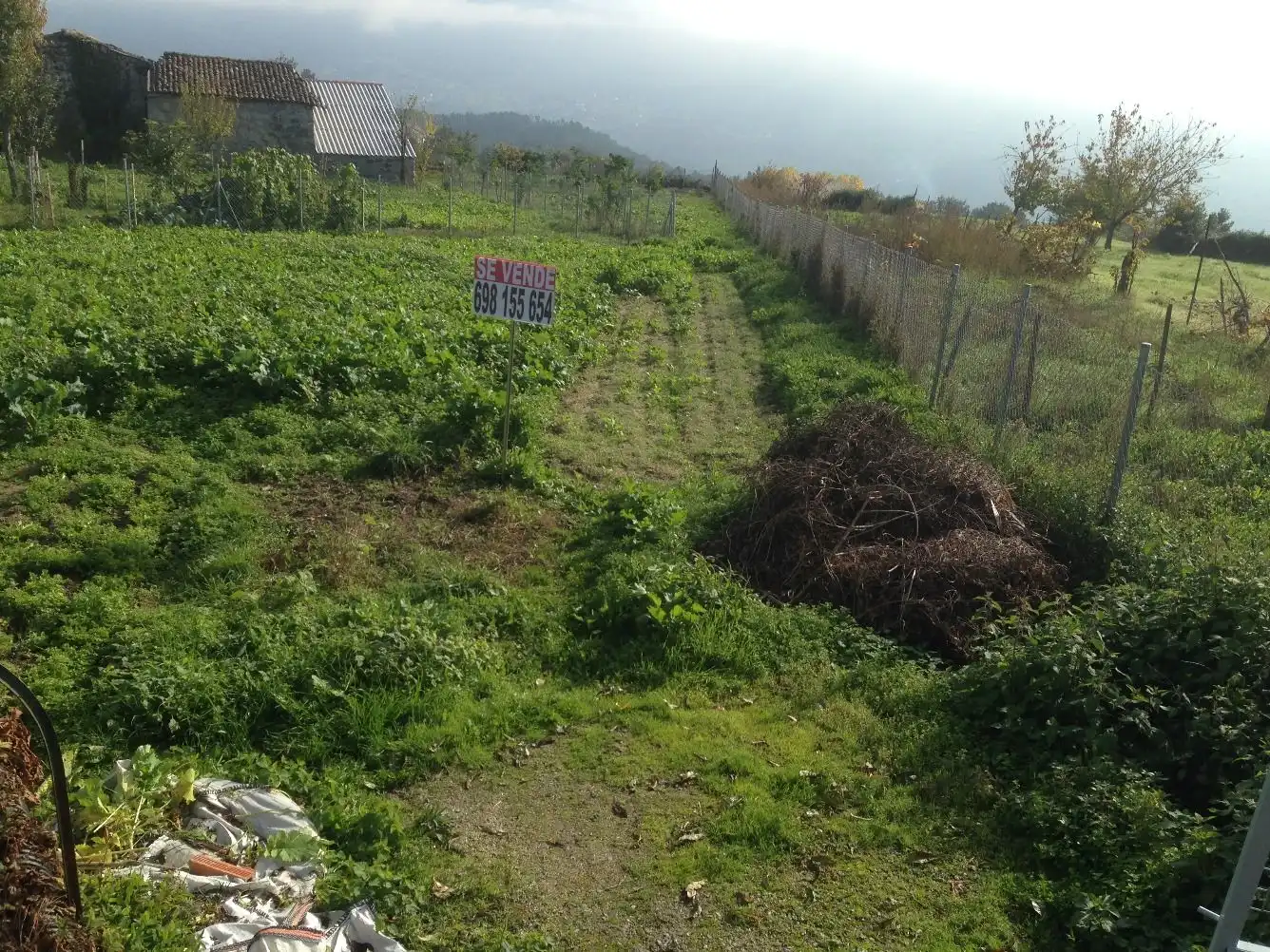 Terrenos y solares en venta en Coles, imagen 5