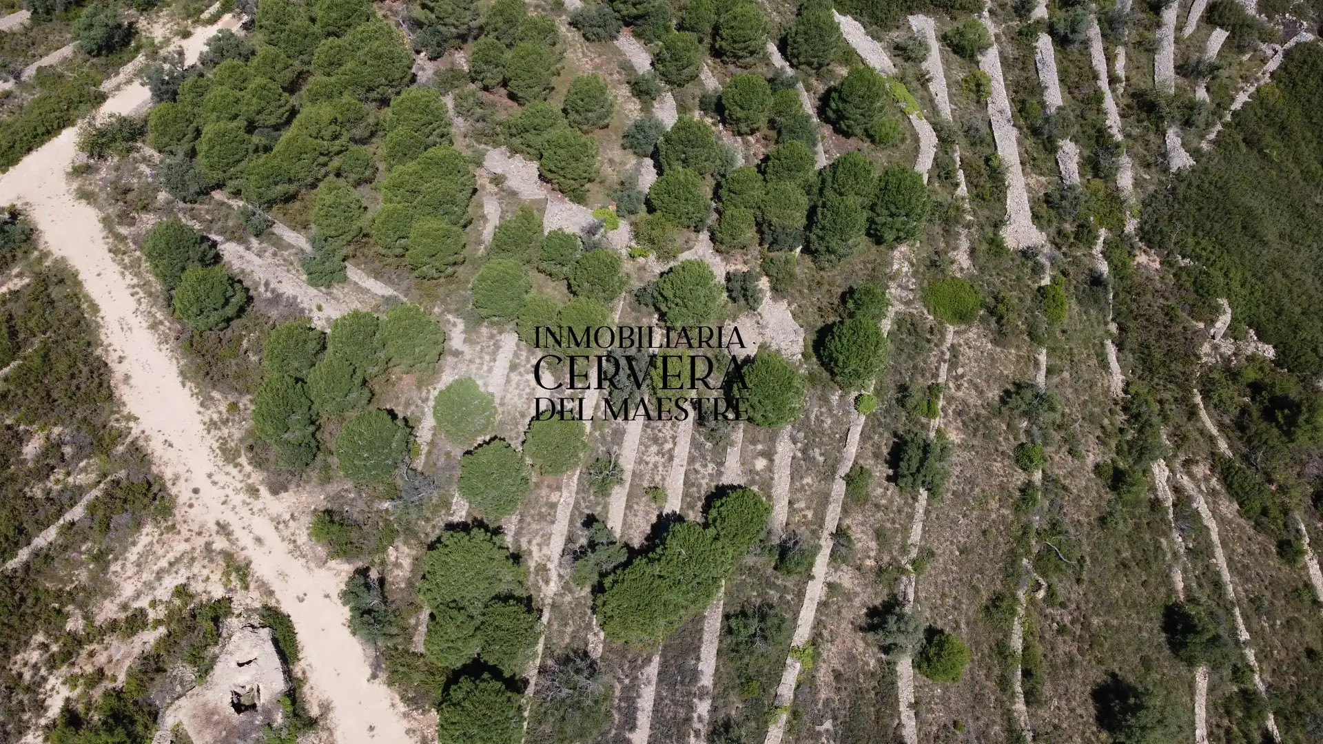Terreny rústic en venda a Cervera del Maestre, imagen 2