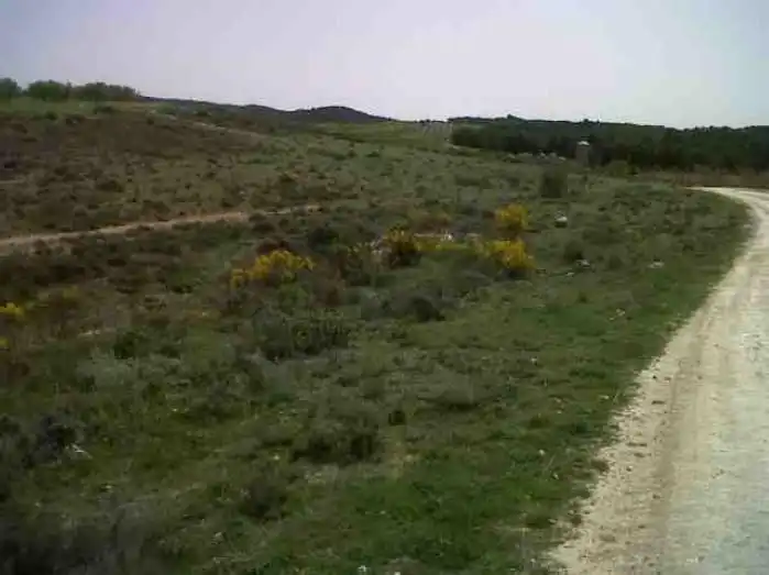 Terreny rústic en venda a Caravaca de la Cruz, imagen 8